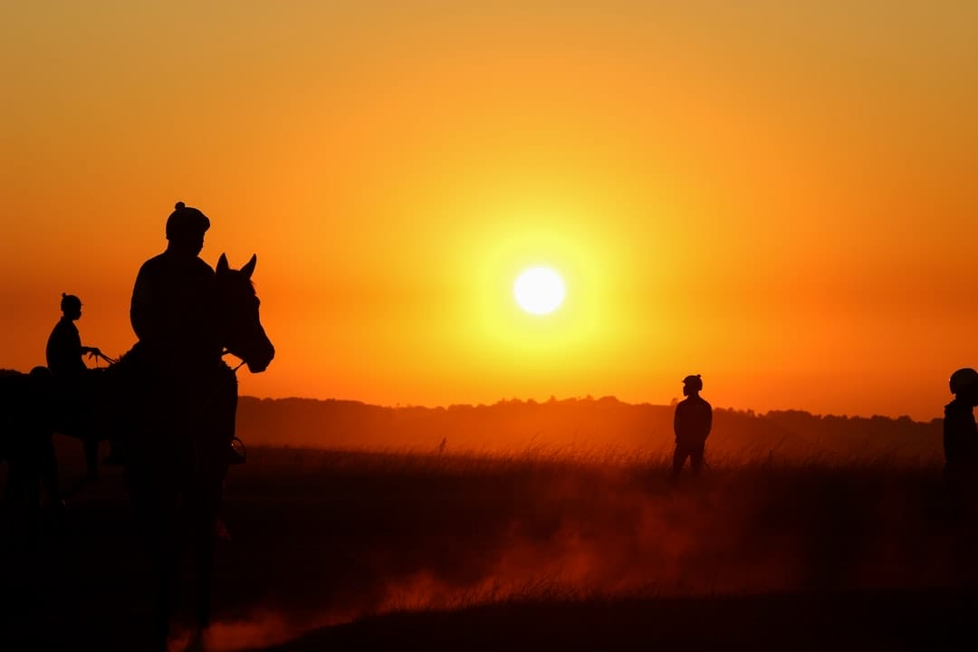 découvrez tout sur les racehorses : origines, caractéristiques, entraînement et actualités des meilleurs chevaux de course. plongez dans l'univers passionnant des pur-sang et du monde hippique.